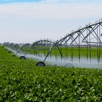 Sprinkler machines in a field