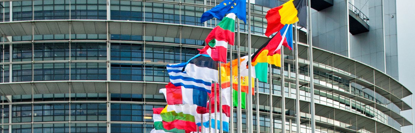 European flags outside European Parliament building